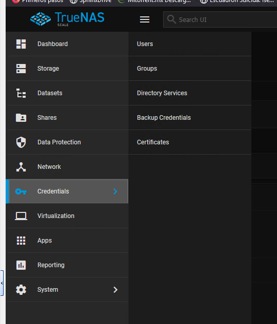Check Domain Name Settings